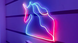 Govee Neon Rope Light 2