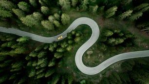 winding road through a forest